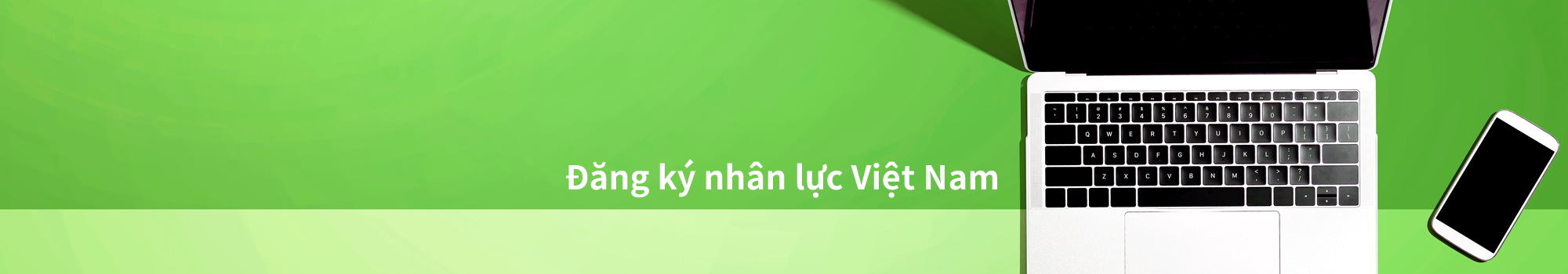Mẫu đăng ký nhân sự Việt Nam